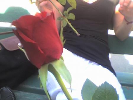LA rOse..